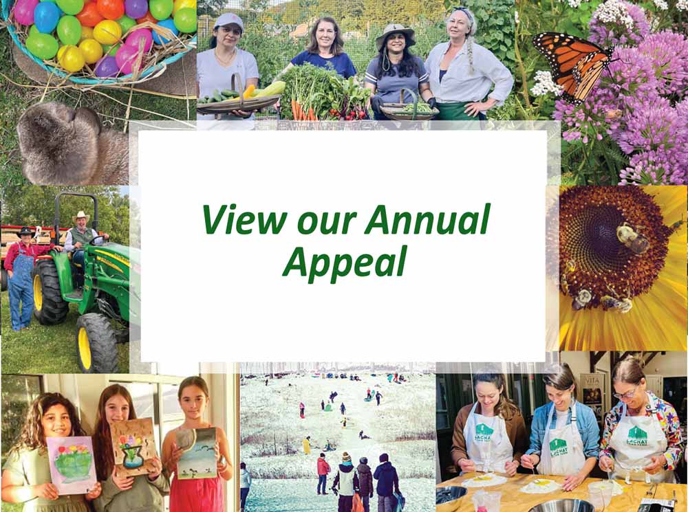 Annual Appeal